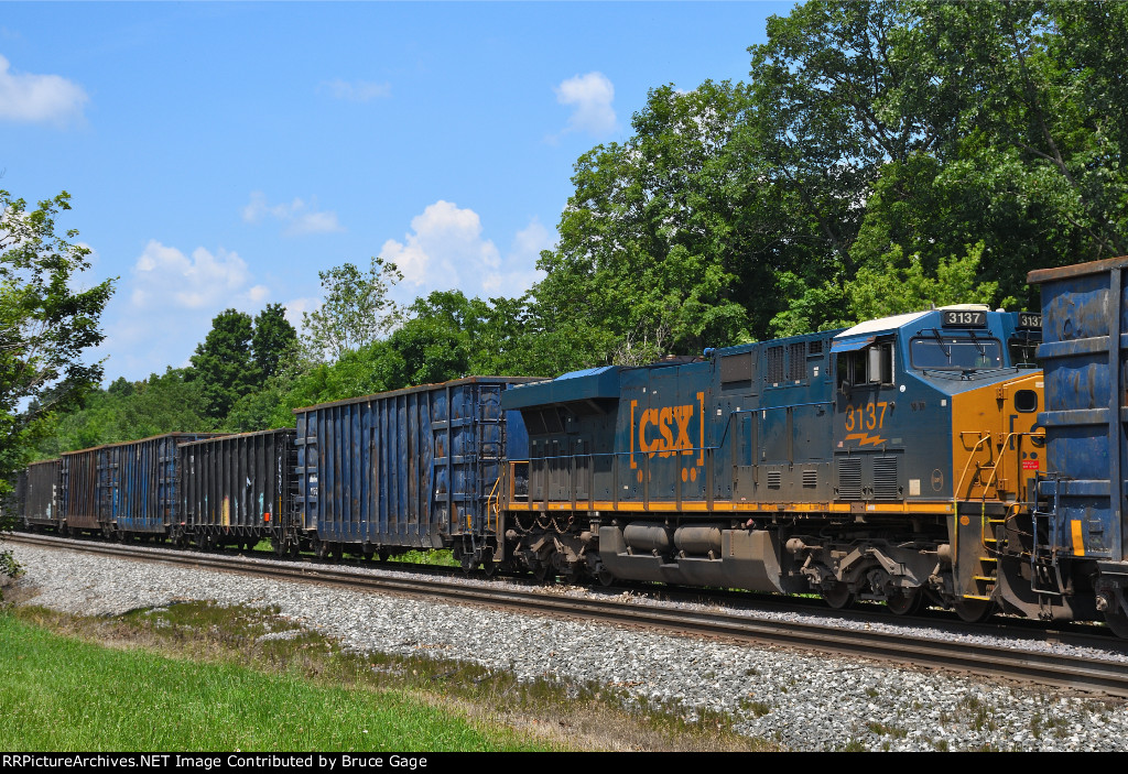 CSX 3137